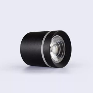 Ceiling COB Light