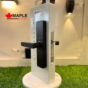 Maple Electric Password Door