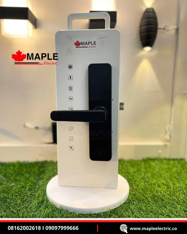 Maple Electric Password Door